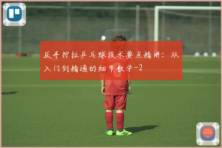 反手拧拉乒乓球技术要点精讲:从入门到精通的细节教学
